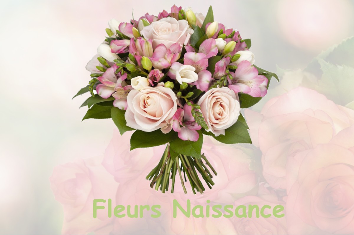 fleurs naissance BIVES