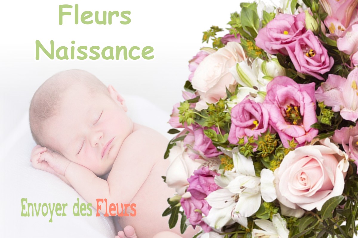 lIVRAISON FLEURS NAISSANCE à BIVES